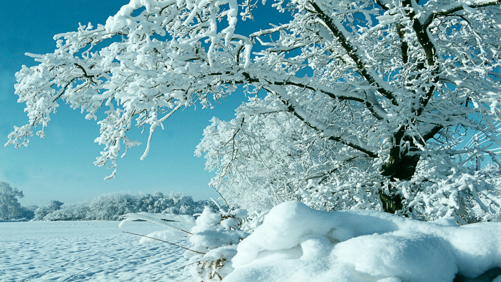 January